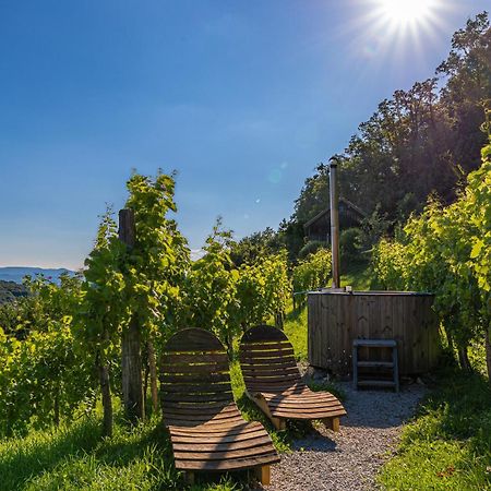 Vineyard Cottage Skatlar 3 Otočec Exterior foto