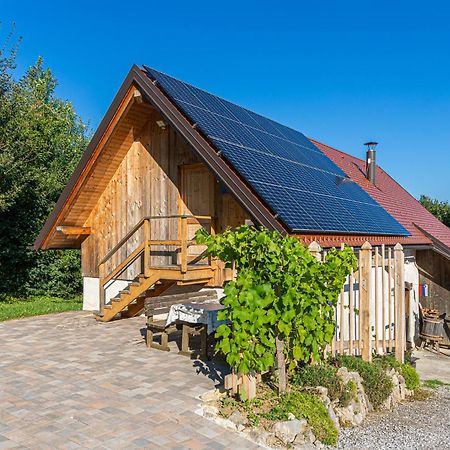 Vineyard Cottage Skatlar 3 Otočec Exterior foto